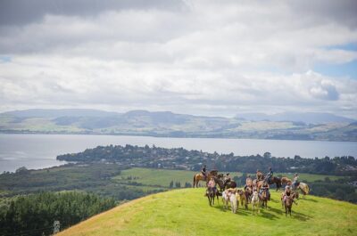Guided Horse Trekking from Rotorua - Getting Ready: Horses, Helmets, Age Rules, and the 90 kg Limit