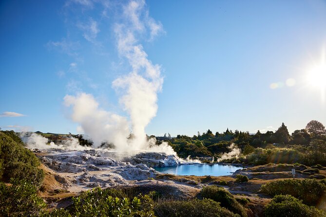 Guided Horse Trekking from Rotorua - Guides and Horses: Why First-Time Riders Feel Okay