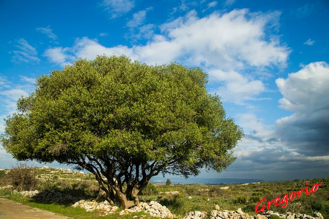 Guided Trekking to Cavagrande del Cassibile in Sicily - The guide: Gregorio Chiarenza and the practical, nerdy-good details