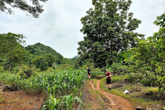 Ha Giang Loop Trekking Full Day Tour - Key highlights to look for