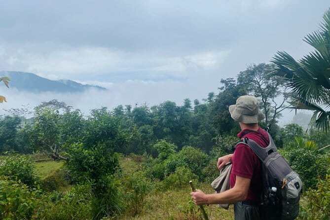Ha Giang Loop Trekking Full Day Tour - Who should book this full-day trek, and who should skip it