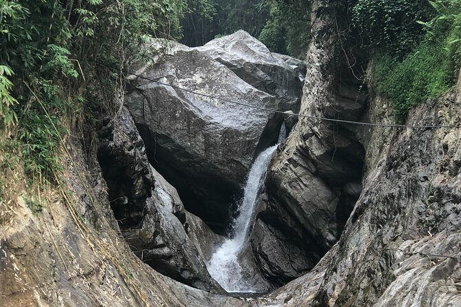 Ha Giang (Vietnam), Trekking Full Day Tour - Timber forest paths: seeing a working landscape up close