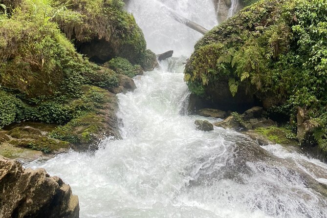 Ha Giang (Vietnam), Trekking Full Day Tour - Cooking five-color sticky rice: the class that turns farm knowledge into dinner