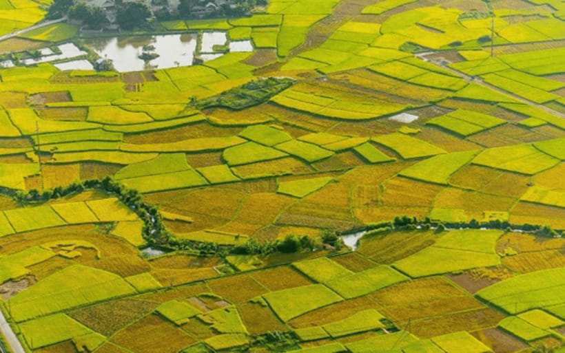 Ha Noi - Mai Chau - Pu Luong 2 Days 1 Night Trekking Tour - Thai stilt-house homestay night: meals, pool time, and joining in culture