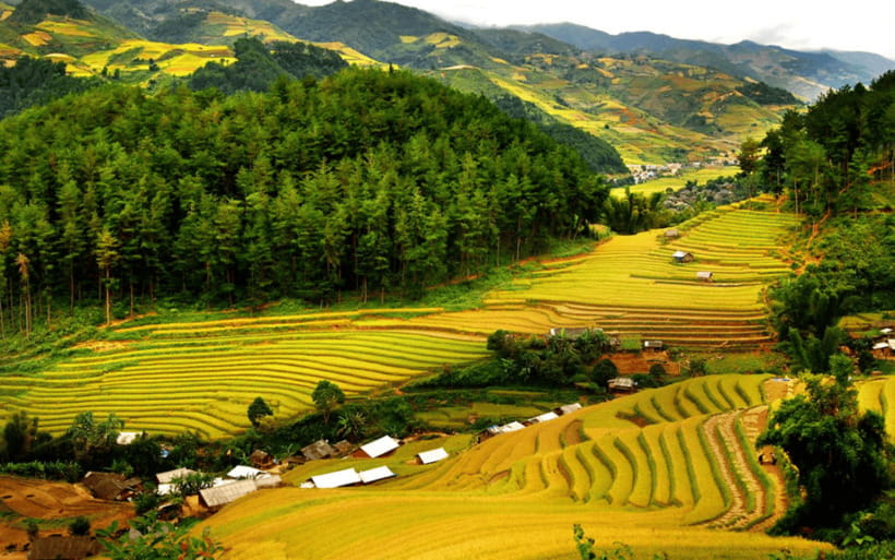 Ha Noi - Mai Chau - Pu Luong 2 Days 1 Night Trekking Tour - Should you book the Hanoi–Mai Chau–Pu Luong 2D1N tour?