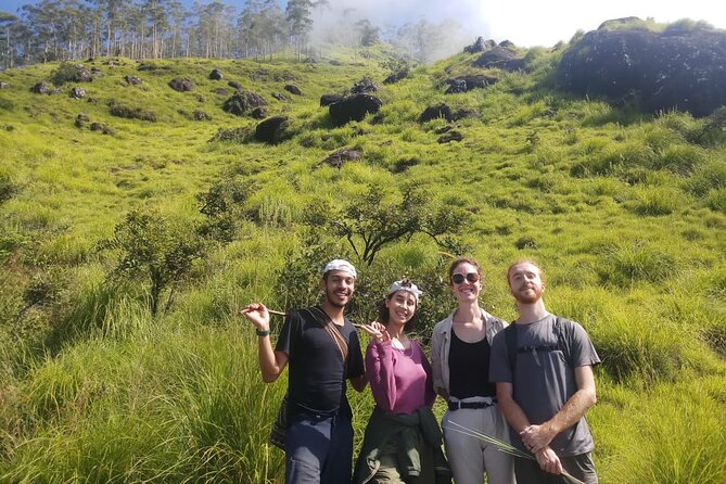 Half Day Hiking in Munnar Trekking Tour - Where the hike starts and how to plan your timing