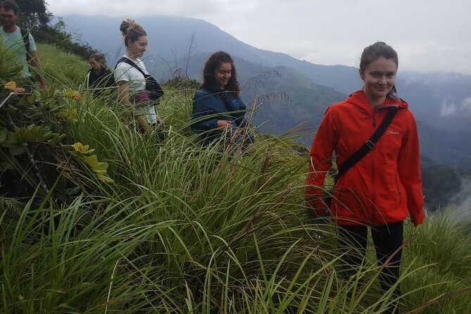 Half Day Hiking in Munnar Trekking Tour - Jungle walk and wildlife chances: what to expect (and what not to)