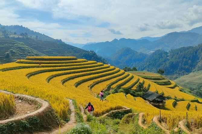 Half Day Private Trekking Mu Cang Chai_Morning or Afternoon - Two trek choices: Đồi Mâm Xôi (Raspberry Hill) or the La Pán Tẩn route