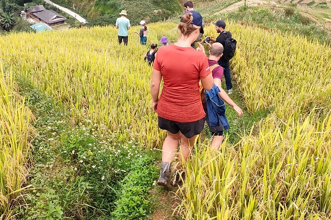 Half Day Private Trekking Mu Cang Chai_Morning or Afternoon - Lunch at an indigenous homestay: included, but also part of the point