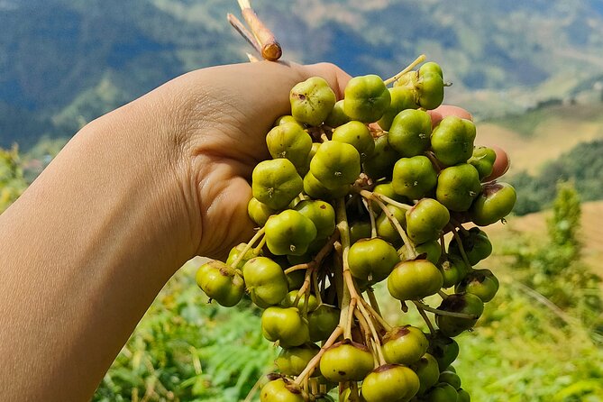 Half Day Private Trekking Mu Cang Chai_Morning or Afternoon - Price and value: is $60 per person fair here?