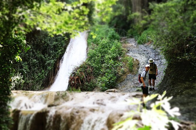 Half-Day River Trekking Stenosia from Kalamata - Key highlights at a glance