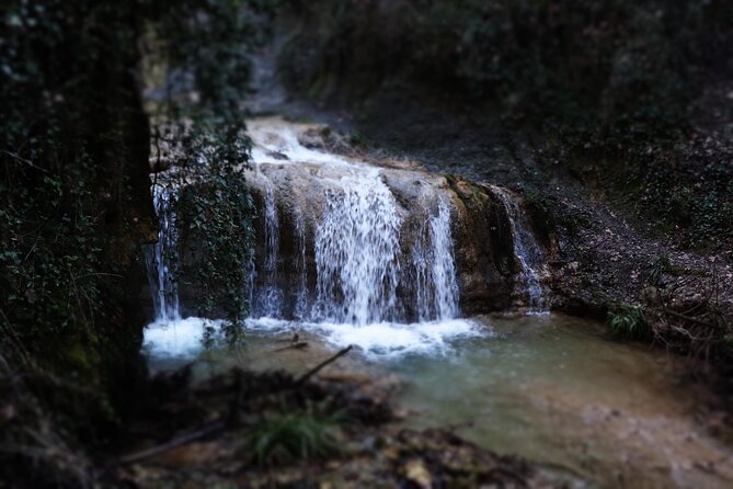 Half-Day River Trekking Stenosia from Kalamata - What’s included: snacks, water, sticks, and a backpack