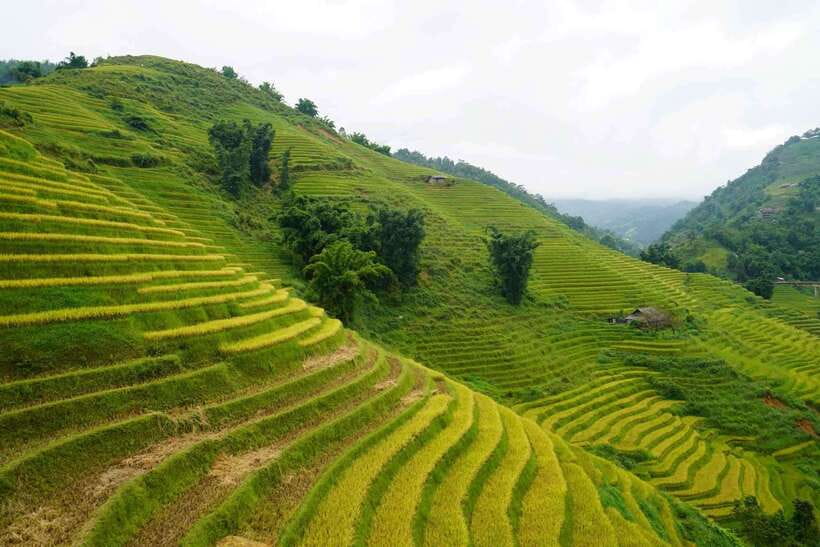 Half Day Sapa Trekking to Visit Lao Chai - Ta Van - Why this half-day Sapa trek feels like the best kind of short trip