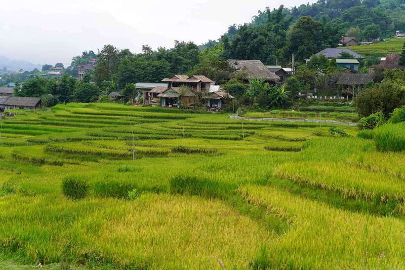 Half Day Sapa Trekking to Visit Lao Chai - Ta Van - Ta Van Village: Dzay community, a longer break, and time to slow down