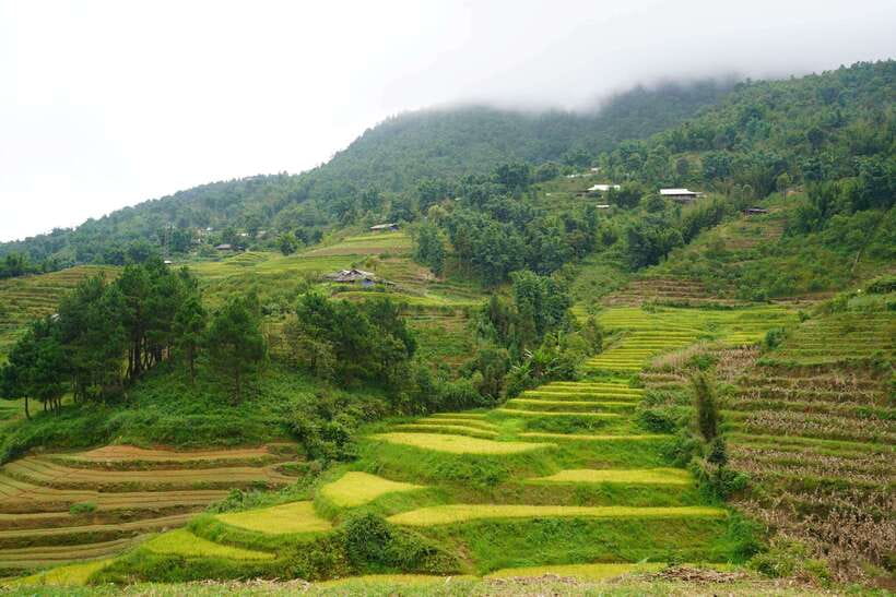 Half Day Sapa Trekking to Visit Lao Chai - Ta Van - The real trekking reality: uneven ground, heat, and rain