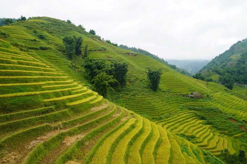 Half Day Sapa Trekking to Visit Lao Chai - Ta Van - Craft shopping: how to handle it without ruining the walk
