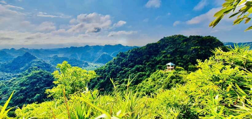 Half Day Trekking Cat Ba National Park - Final call: should you book the Half Day Trekking Cat Ba National Park tour?