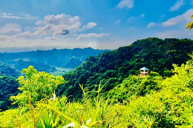 Half Day Trekking in Cat Ba National Park and Hospital Cave - Who This Tour Suits Best