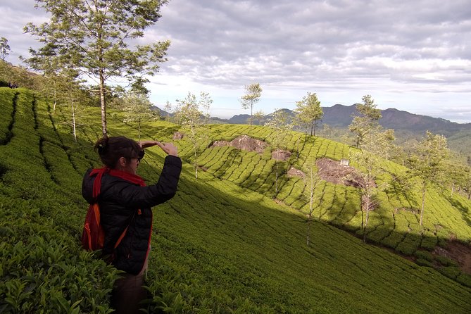 Half day trekking (munnar valley Trekking & Tours ) - Guide impact: from Kumar and Mukesh to Arun and Samy