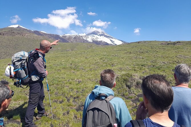 Half day Trekking Tour on Etna - Valle del Bove at ~2300m: the view without the summit stress