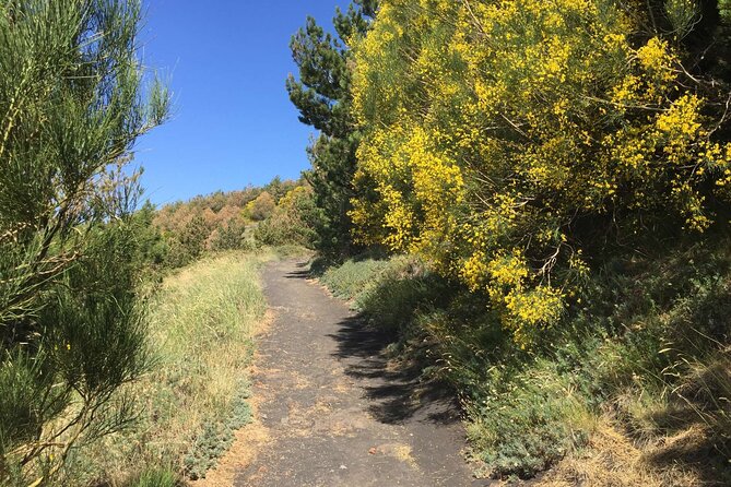 Half day Trekking Tour on Etna - Colata Lavica 1992: watching a lava front meet real places