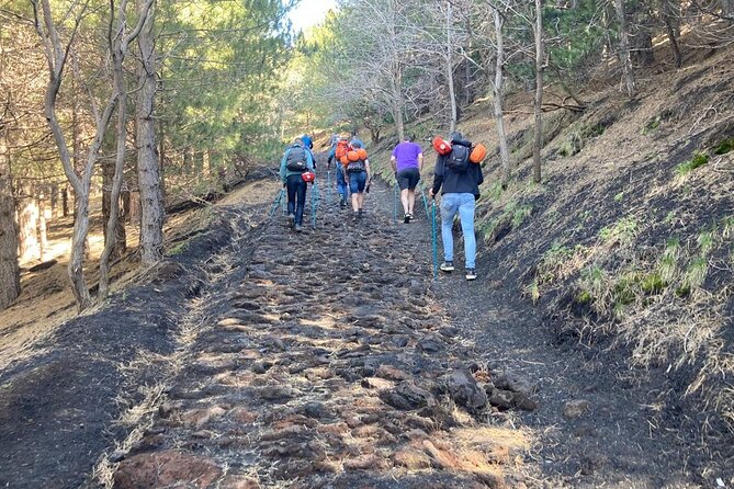 Half day Trekking Tour on Etna - Oro d’Etna tasting: a short food break that feels earned