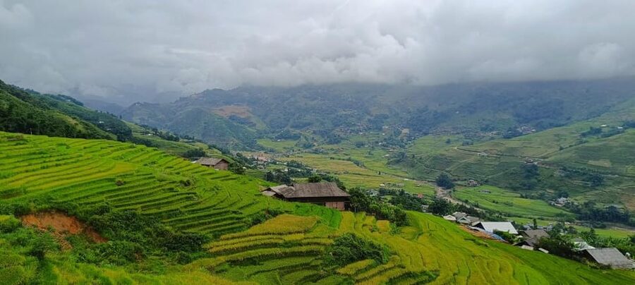 Half Day Visit Y Linh Ho,Lao Chai,Ta Van Trekking With Lunch - Key Things You’ll Notice on This Sapa Trek