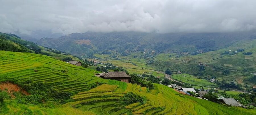 Half Day Visit Y Linh Ho,Lao Chai,Ta Van Trekking With Lunch - Packing Like You Actually Mean It