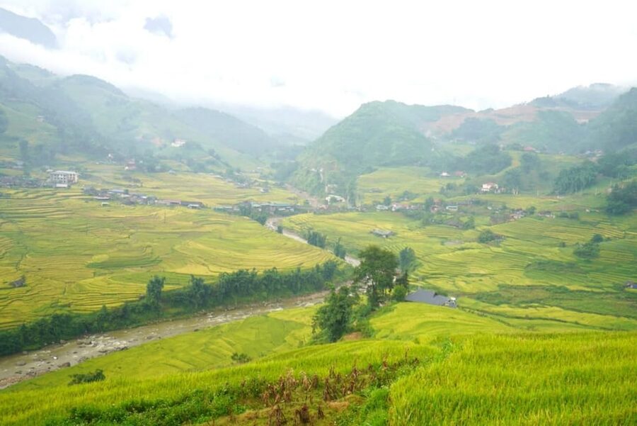 Half Day Visit Y Linh Ho,Lao Chai,Ta Van Trekking With Lunch - Bản Ý Linh Hồ: Terrace Views, Photos, and Village Time