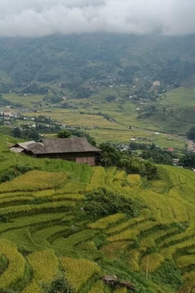 Half Day Visit Y Linh Ho,Lao Chai,Ta Van Trekking With Lunch - Meeting Times, Pickup, and the 330 Minutes Reality Check