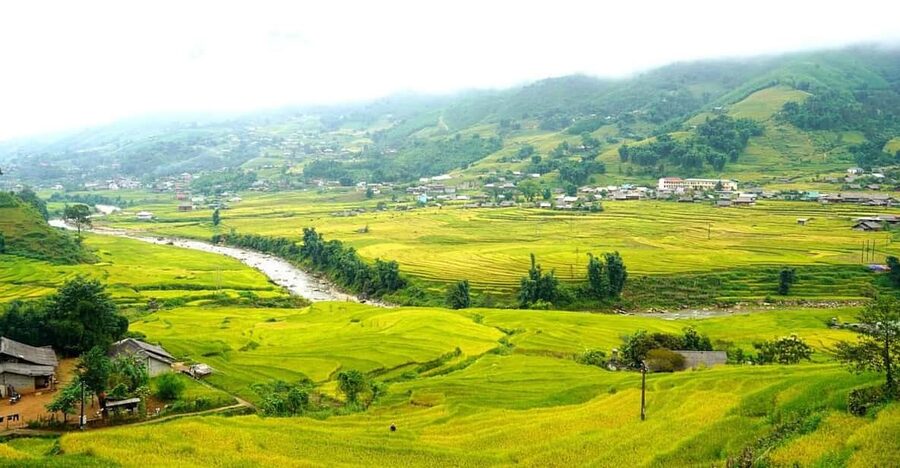 Half Day Visit Y Linh Ho,Lao Chai,Ta Van Trekking With Lunch - Lao Chải and the Muong Hoa Stream Route to the Black Hmong Village