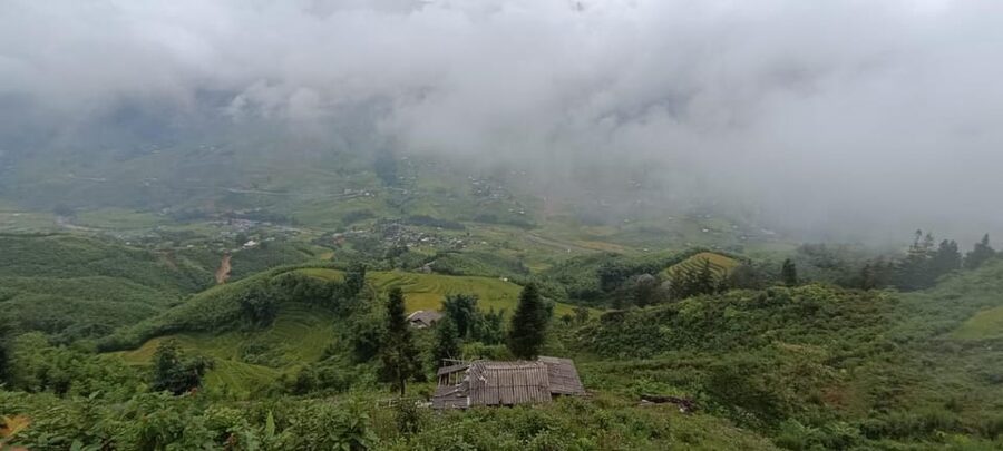 Half Day Visit Y Linh Ho,Lao Chai,Ta Van Trekking With Lunch - Guides, Language, and What Makes the Conversation Work