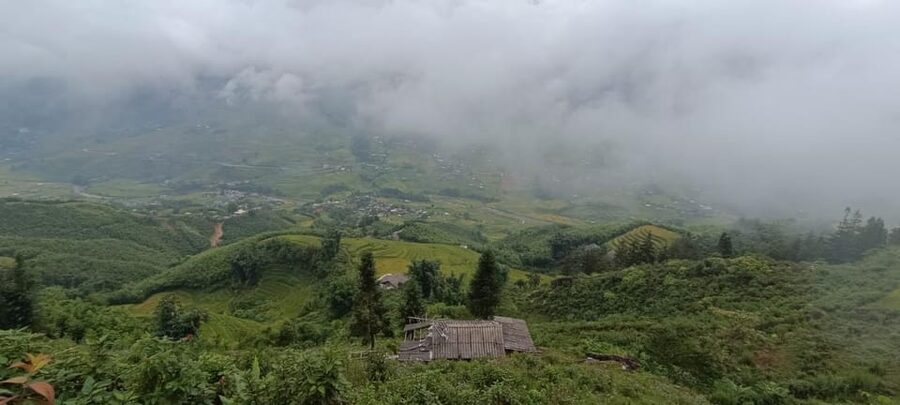 Half Day Visit Y Linh Ho,Lao Chai,Ta Van Trekking With Lunch - Price and Logistics: Is $23 Good Value?