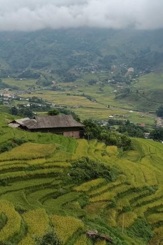 Half Day Visit Y Linh Ho,Lao Chai,Ta Van Trekking With Lunch - Meeting Times, Pickup, and the 330 Minutes Reality Check