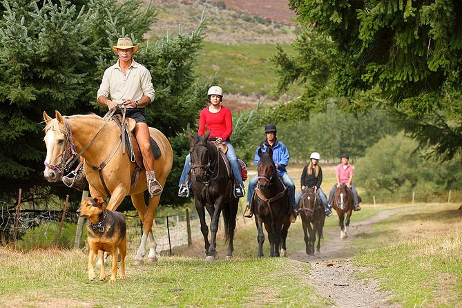Half Day Walter Peak Horse Trek and Cruise from Queenstown - How the guides and horses shape the experience
