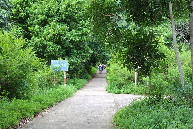 Halfday trekking Cat Ba Butterfly valley (more intense) - The view payoff: where you go above the canopy