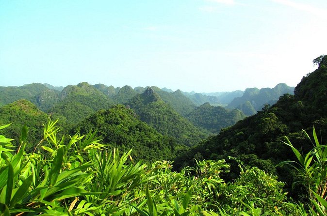 Halfday trekking Cat Ba Butterfly valley (more intense) - Your guide can make or break it: Mario and Rio are real examples