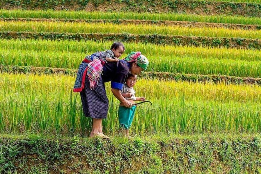 Hanoi: 2-Day Sa Pa Guided Village & Homestay Trekking Tour - A two-day Sapa trek that actually feels rural