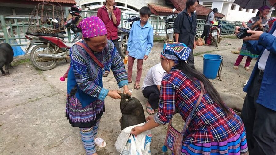 Hanoi: 2-Day Sa Pa Guided Village & Homestay Trekking Tour - Homestay evening: family time, sunset, and simple facilities