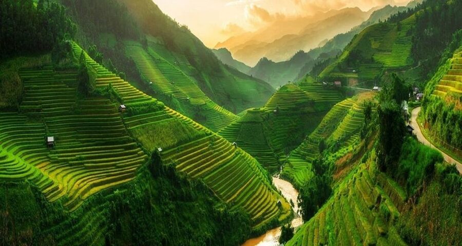 Hanoi: 2-Day Sa Pa Guided Village & Homestay Trekking Tour - Day 2: Ta Van to Giang Ta Chai, with bamboo and a red Dzao village view