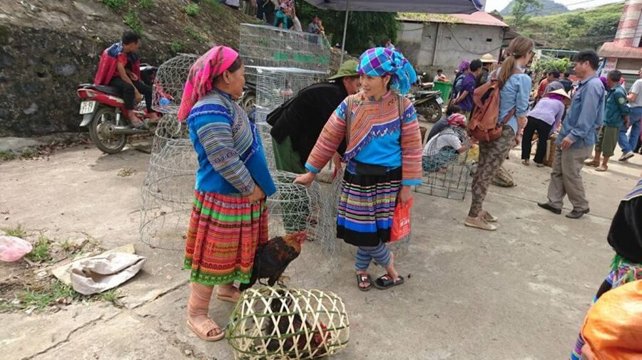 Hanoi: 2-Day Sa Pa Guided Village & Homestay Trekking Tour - What the best guides do on this route