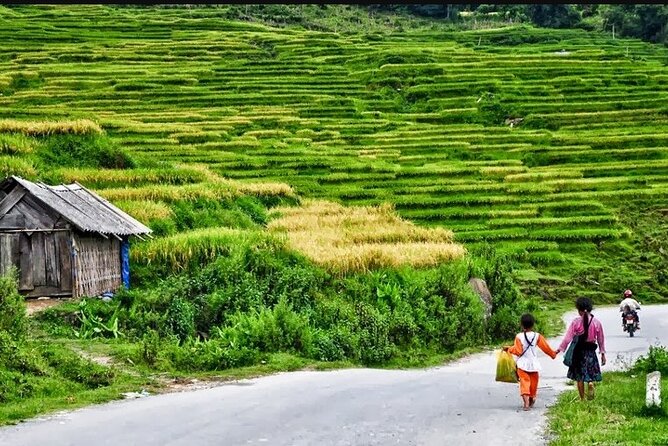 Hanoi- 2 Days Sapa moutain trekking with Local Guide and Homestay - Day 2: bamboo forest, rice fields, and the Giang Ta Chai suspension bridge
