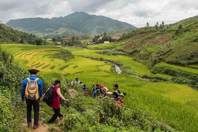 Hanoi- 2 Days Sapa moutain trekking with Local Guide and Homestay - Back to Sa Pa town, then the long ride home