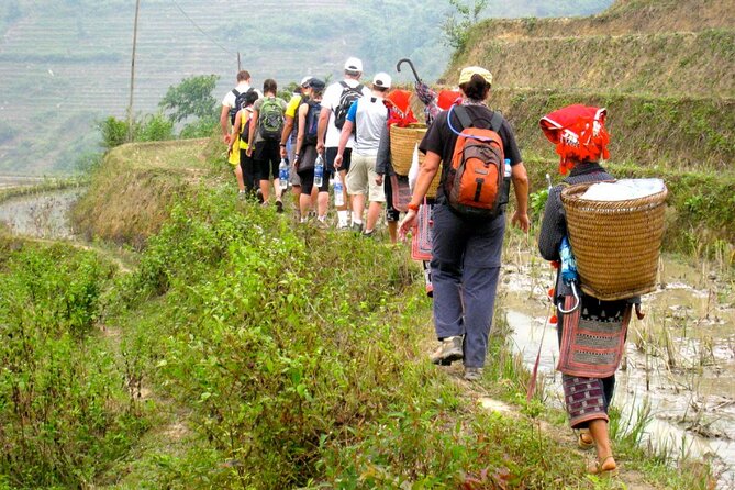 Hanoi- 2 Days Sapa moutain trekking with Local Guide and Homestay - Value check: is $89 fair for Sa Pa trekking?