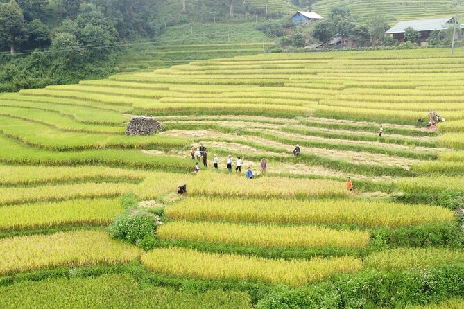 Hanoi - Sapa 2 Days 1 Night Overnight At Local Homestay - Day 2: Giang Ta Chai to Supan, Then Back to Sapa Town