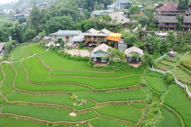 Hanoi - Sapa 3 Day 2 Night Trekking With Hotel & Homestay - Price and value: is $125 fair for 3 days in Sapa?