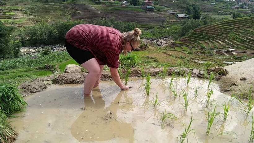 Hanoi- SaPa: 3-Day Homestay Trek to Explore Ethnic cultures - Key things to know before you go