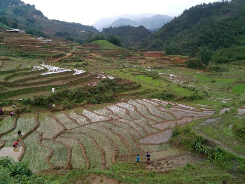 Hanoi- SaPa: 3-Day Homestay Trek to Explore Ethnic cultures - Who this trek suits best (and who should skip it)