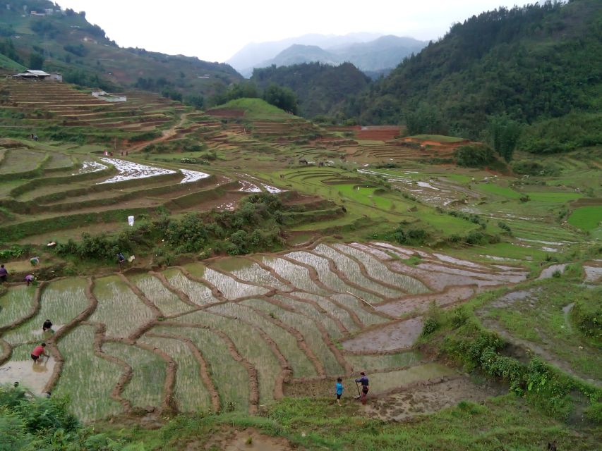 Hanoi- SaPa: 3-Day Homestay Trek to Explore Ethnic cultures - Food and homestay rhythm: included meals plus real sharing