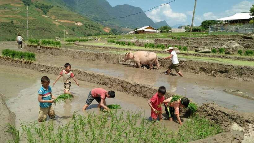 Hanoi- SaPa: 3-Day Homestay Trek to Explore Ethnic cultures - What to pack for Sa Pa weather, trail mud, and bugs